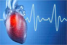 Medibhai Advance Cardiac Profile